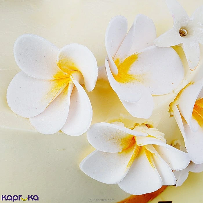 Cakes cakejava00268 in Sri Lanka