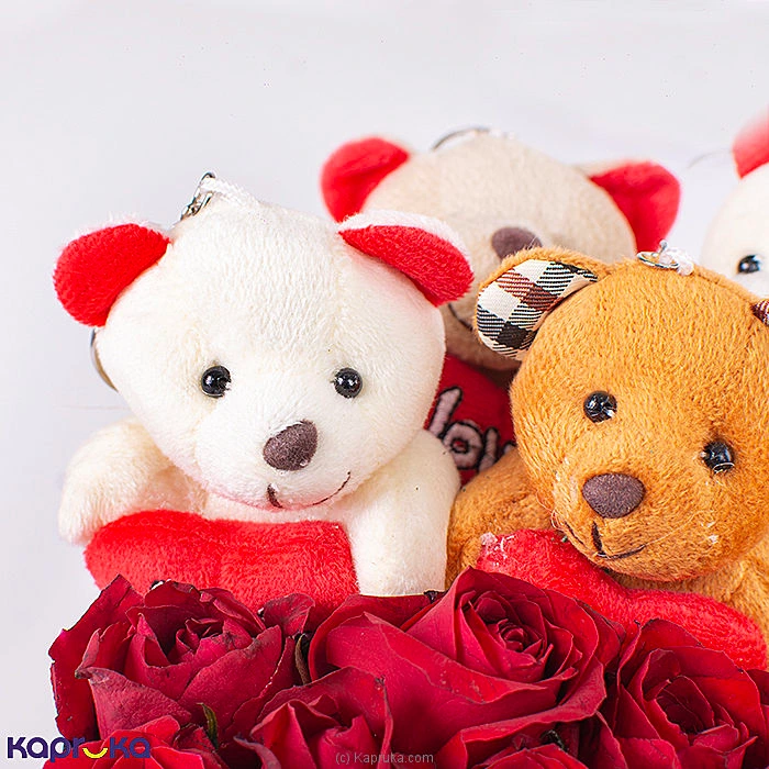 combopack combochg149 in Sri Lanka