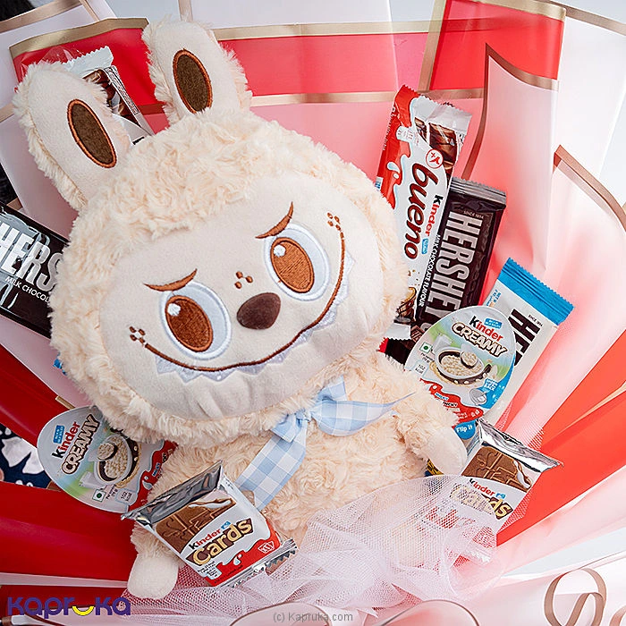 combopack combochg222 in Sri Lanka