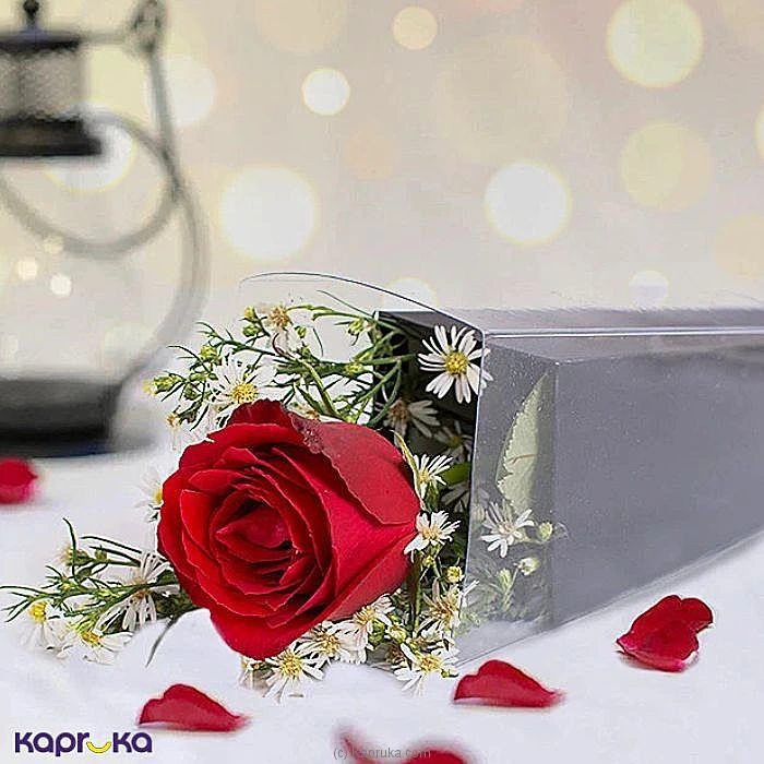 combopack combochtefl18 in Sri Lanka