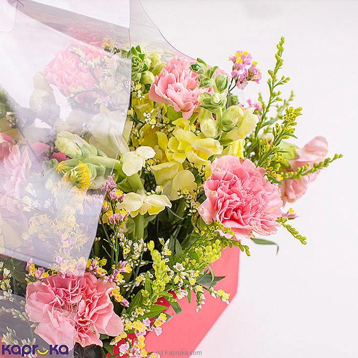 combopack combockfl13 in Sri Lanka