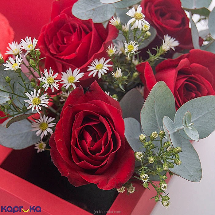 combopack combockfl17 in Sri Lanka