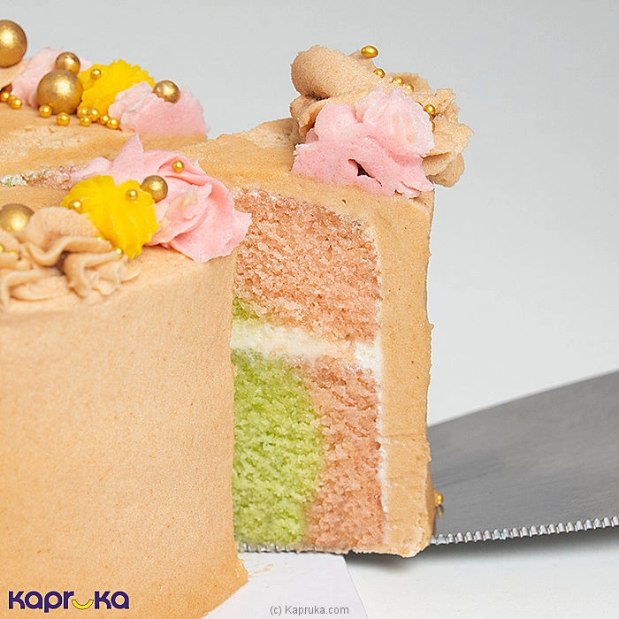 combopack combockfl26 in Sri Lanka