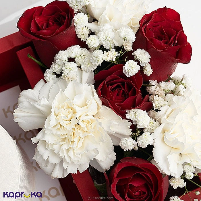 combopack combockfl51 in Sri Lanka