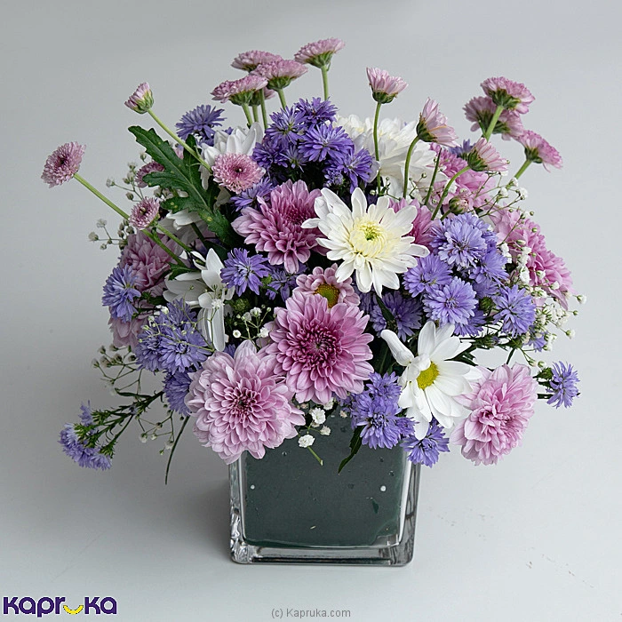 combopack comboflfa5 in Sri Lanka