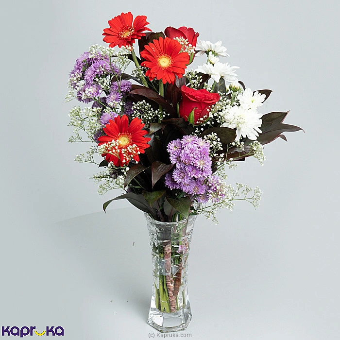 combopack combotefl11 in Sri Lanka