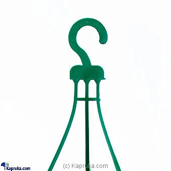 Flowers flowers00t1027 in Sri Lanka