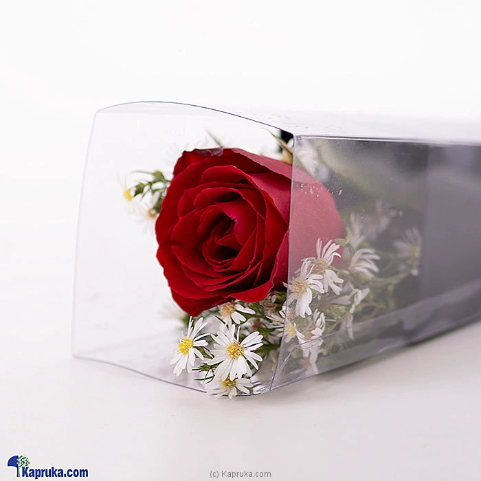 Flowers flowers00t1182 in Sri Lanka