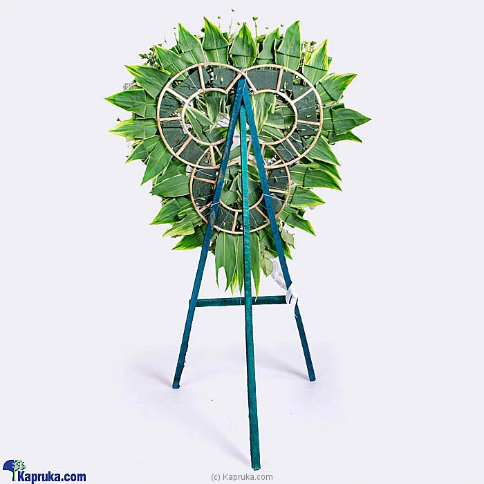 Flowers flowers00t1484 in Sri Lanka