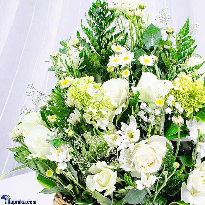 Flowers flowers00t1487 in Sri Lanka