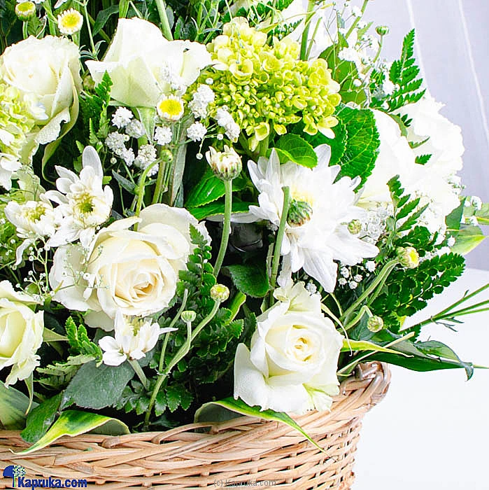 Flowers flowers00t1487 in Sri Lanka