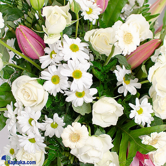 Flowers flowers00t1544 in Sri Lanka