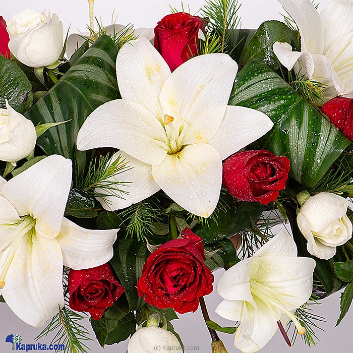 Flowers flowers00t1664 in Sri Lanka