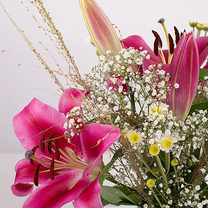 Flowers flowers00t1698 in Sri Lanka