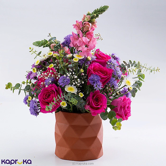 Flowers flowers00t1796 in Sri Lanka