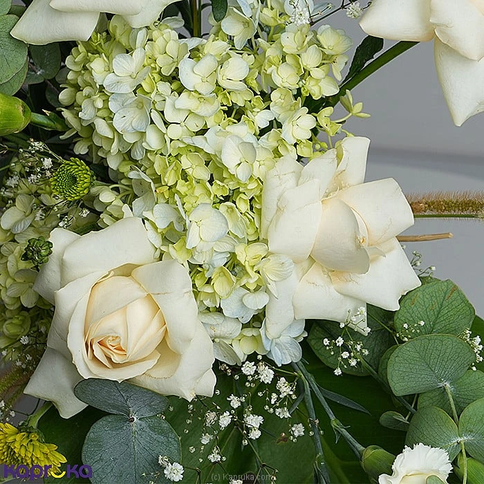 Flowers flowers00t1879 in Sri Lanka