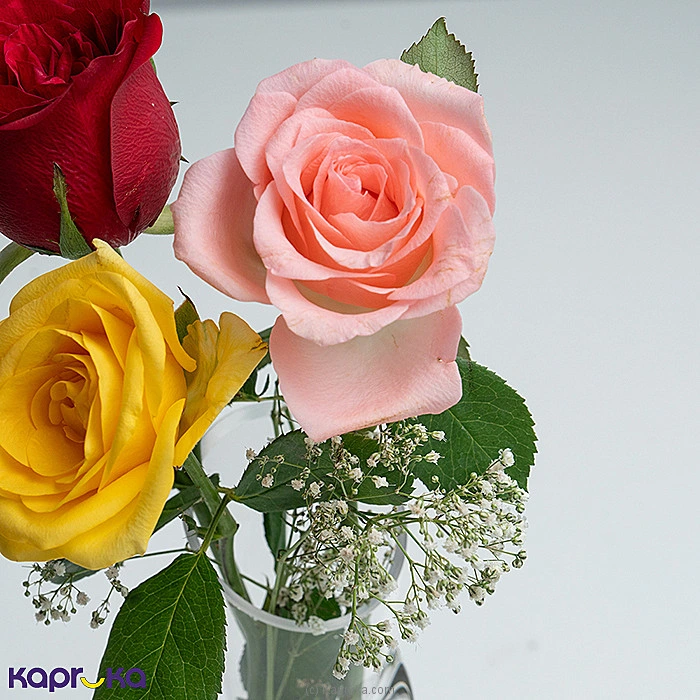 Flowers flowers00t1898 in Sri Lanka