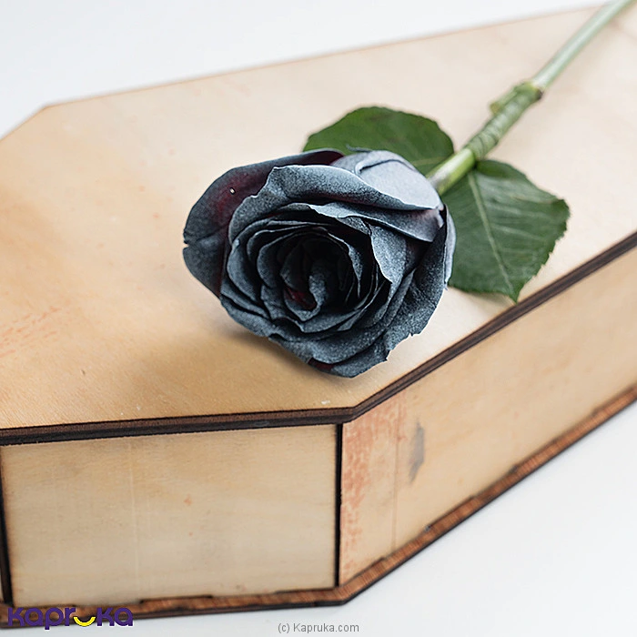 Flowers flowers00t1917 in Sri Lanka