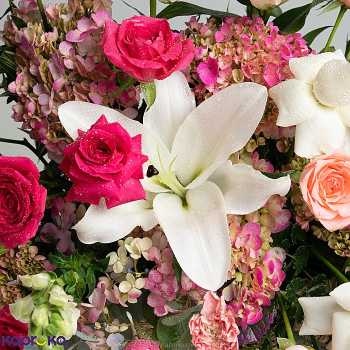 Flowers flowers00t1932 in Sri Lanka