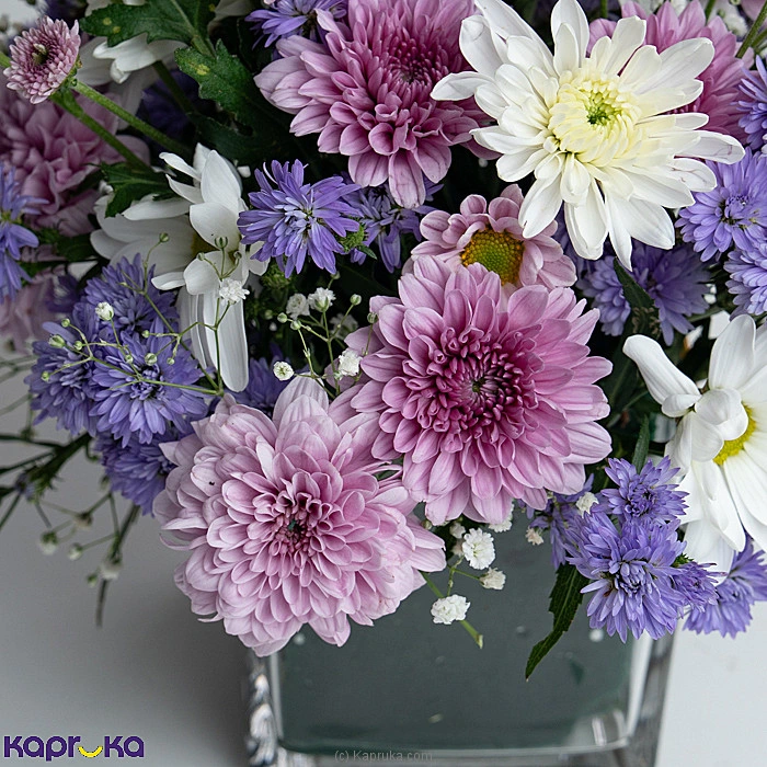 Flowers flowers00t1951 in Sri Lanka