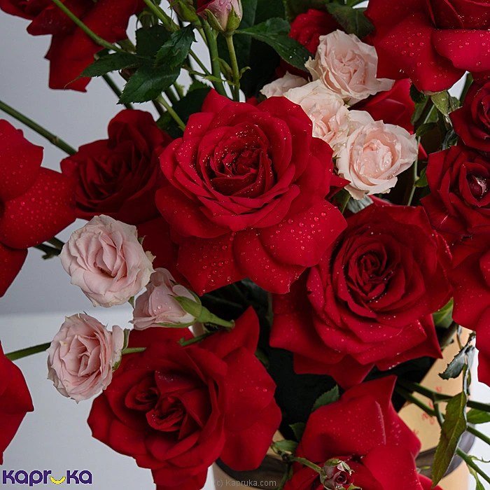 Flowers flowers00t1956 in Sri Lanka