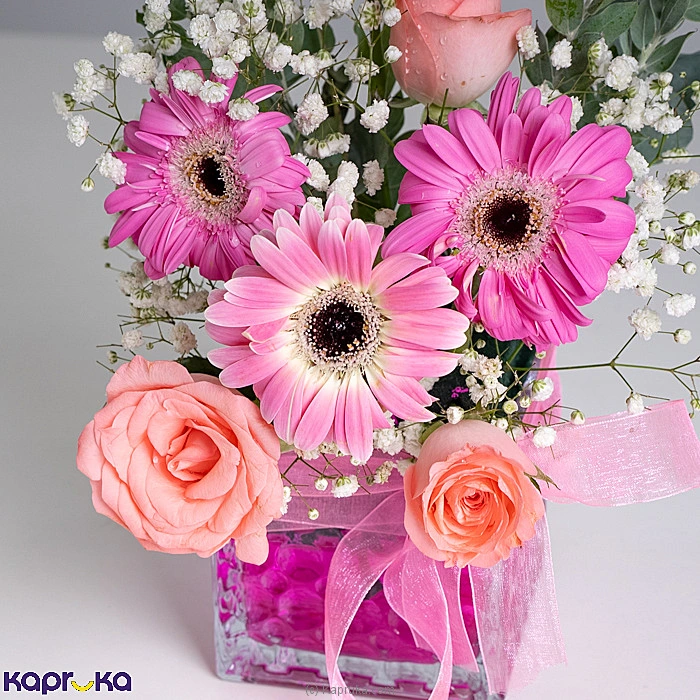 Flowers flowers00t1967 in Sri Lanka