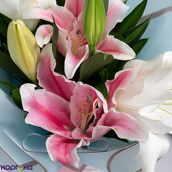 Flowers flowers00t1982 in Sri Lanka