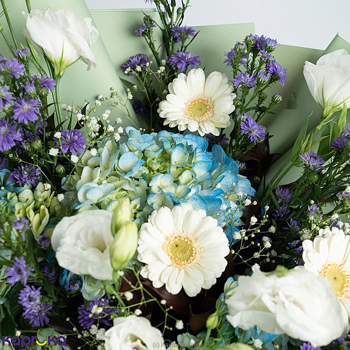 Flowers flowers00t1998 in Sri Lanka