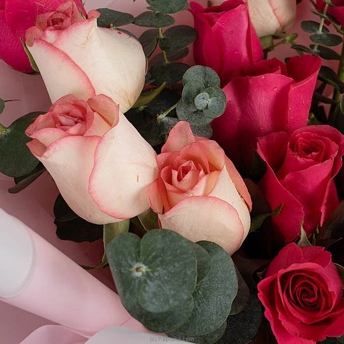 Flowers flowers00t2059 in Sri Lanka