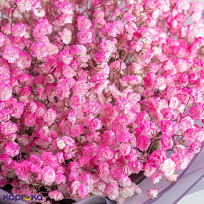 Flowers flowers00t2079 in Sri Lanka