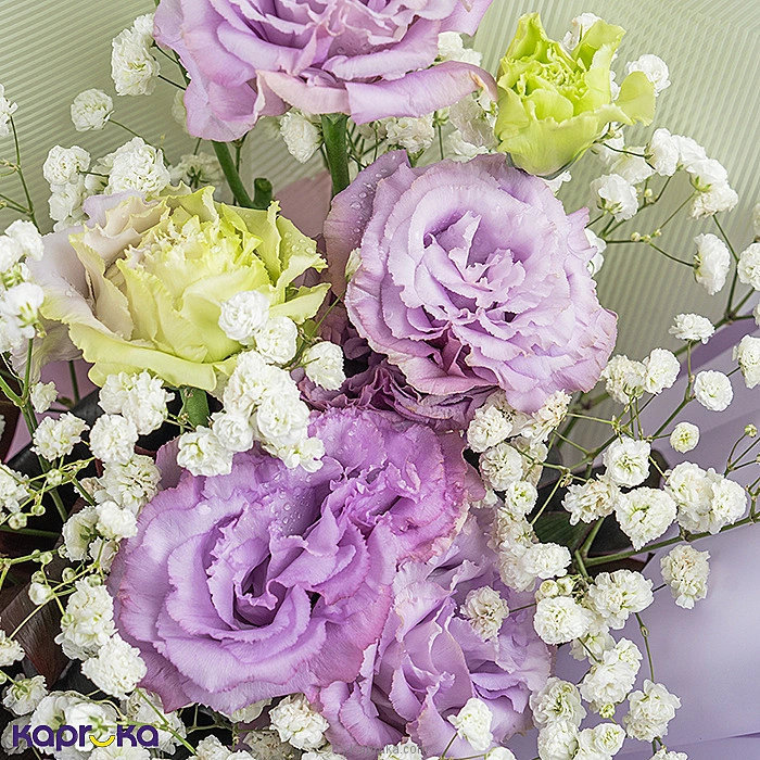 Flowers flowers00t2080 in Sri Lanka