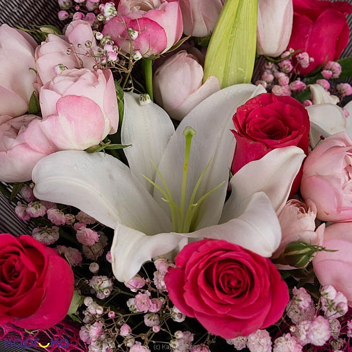 Flowers flowers00t2098 in Sri Lanka