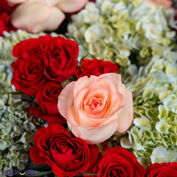 Flowers flowers00t2099 in Sri Lanka