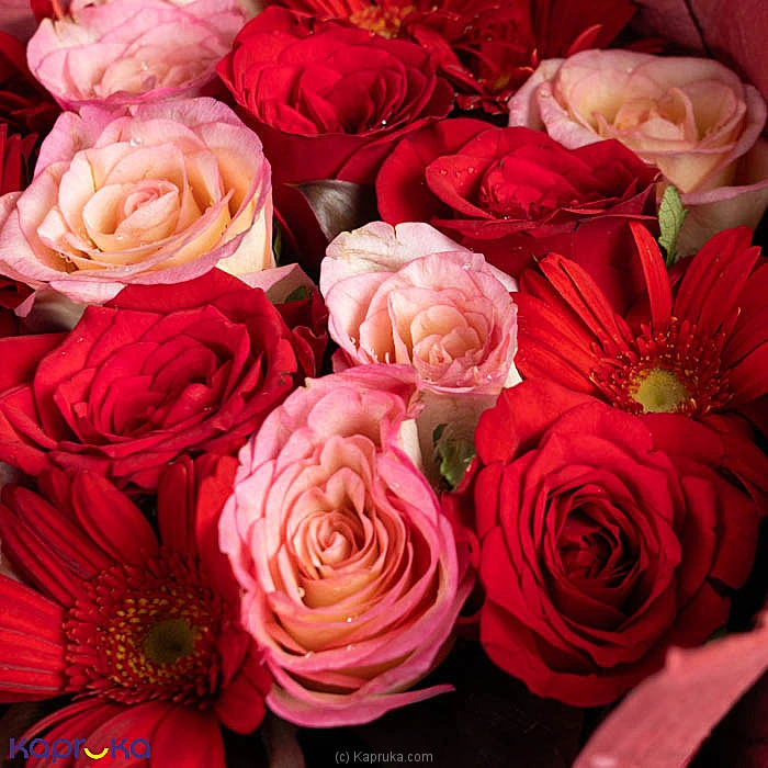Rosique 12 Pink Red Roses With 6 Red Gerberas Bouquet