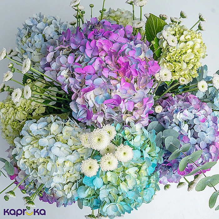 Cloudelle Pastel Hydrangea Flower Arrangement