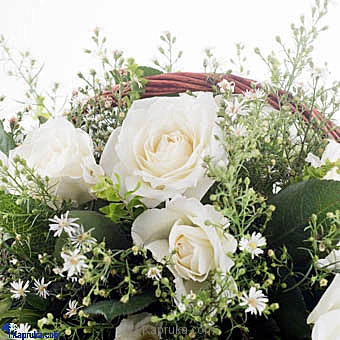 Flowers flowers00t996 in Sri Lanka