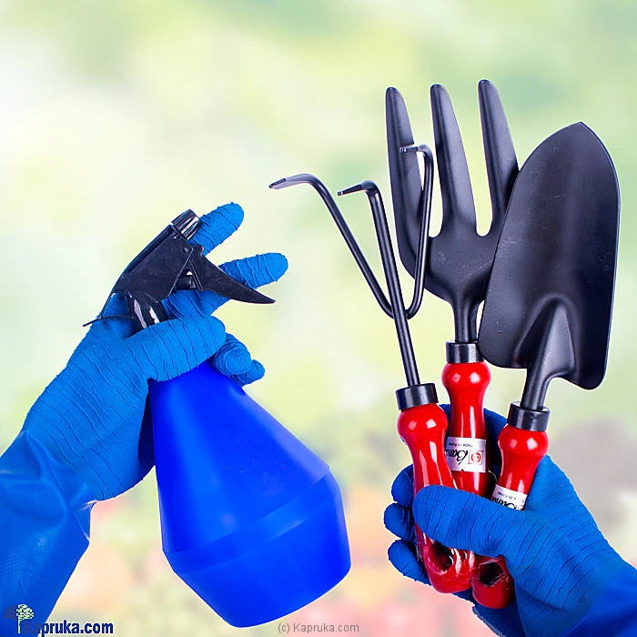 giftset giftset00357 in Sri Lanka