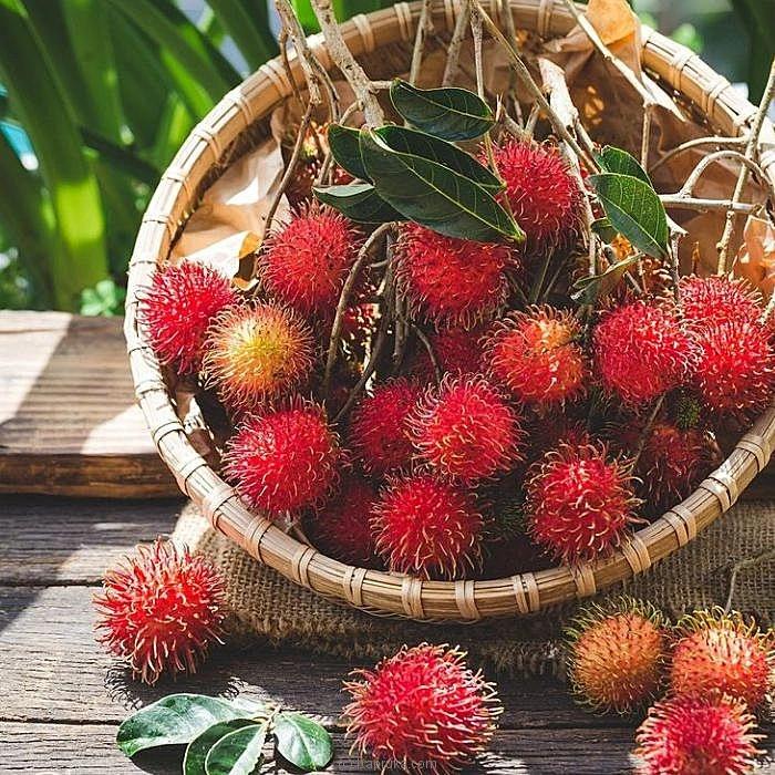 Fruits fruits00149 in Sri Lanka