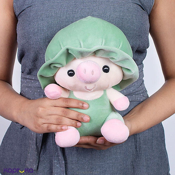 Softtoy softtoy001028 in Sri Lanka