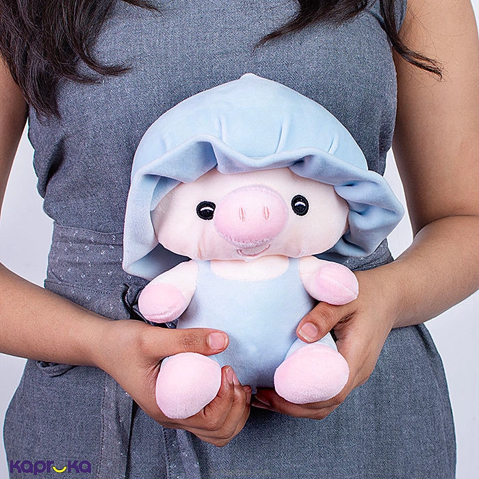 Softtoy softtoy001029 in Sri Lanka