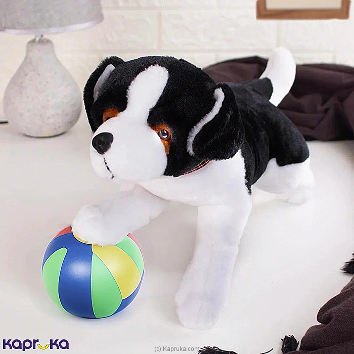 Softtoy softtoy001053 in Sri Lanka