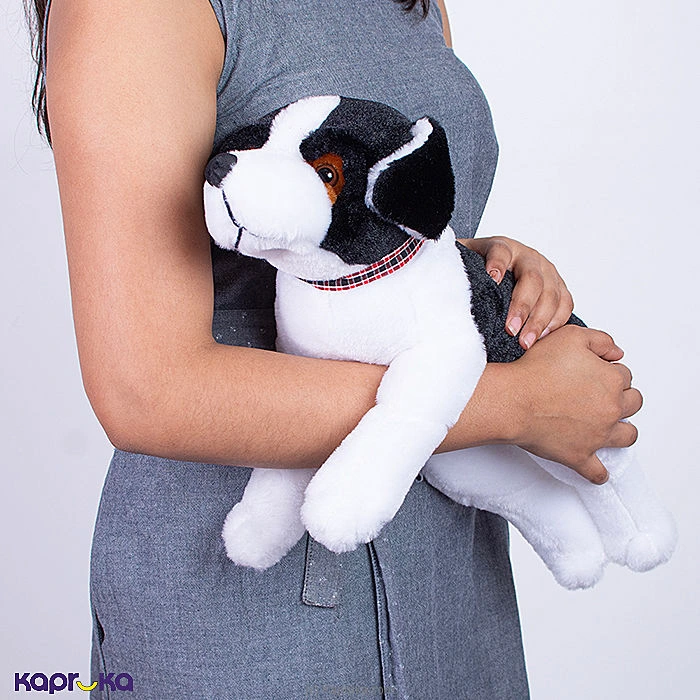 Softtoy softtoy001053 in Sri Lanka