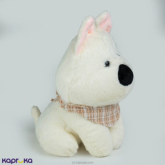 Softtoy softtoy001171 in Sri Lanka