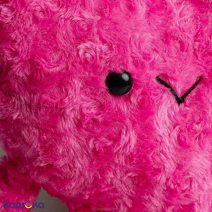 Softtoy softtoy001188 in Sri Lanka