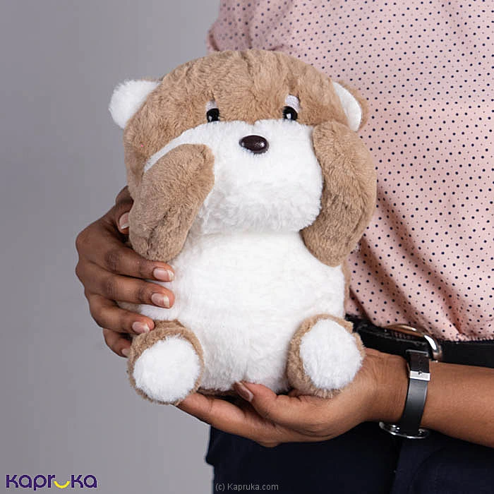 Softtoy softtoy001221 in Sri Lanka