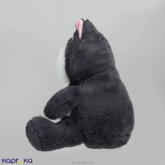 Softtoy softtoy001239 in Sri Lanka