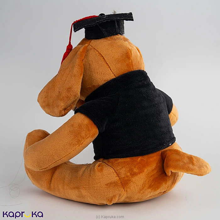 Smarty Paws Graduation Dog Plush Toy - 12 Inch