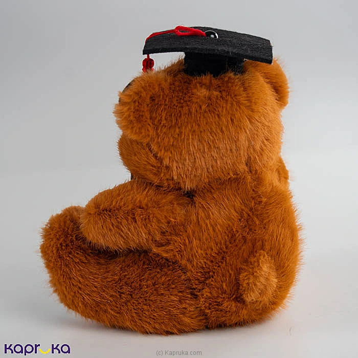 Choco Champ Graduation Teddy Bear - 9 Inch