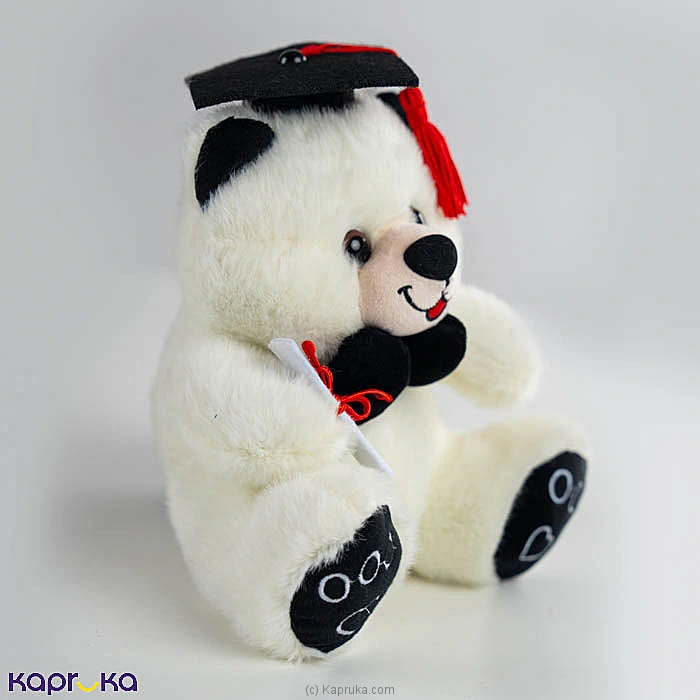 Snowy Graduation Teddy Bear - 9 Inch
