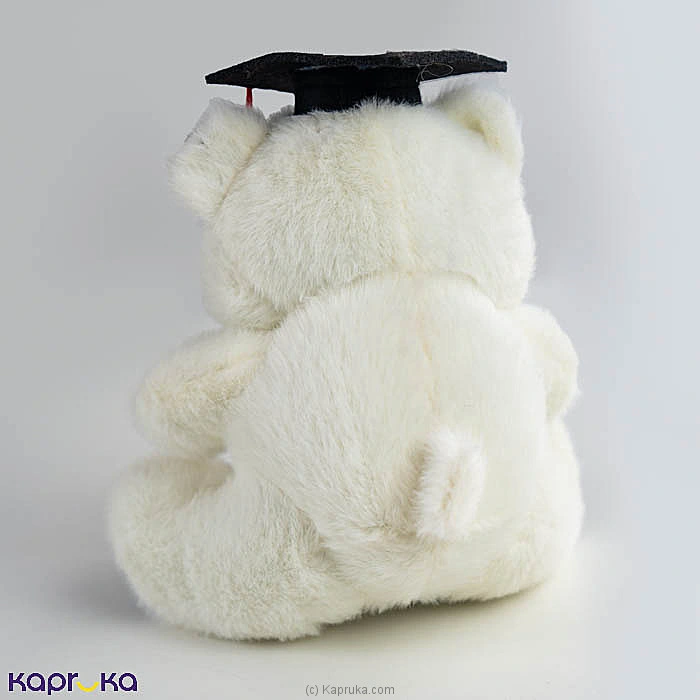 Snowy Graduation Teddy Bear - 9 Inch